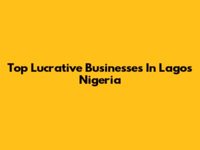 Top Lucrative Businesses In Lagos Nigeria